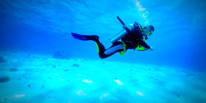 Get The Best Of Scuba Diving With Picnicwale