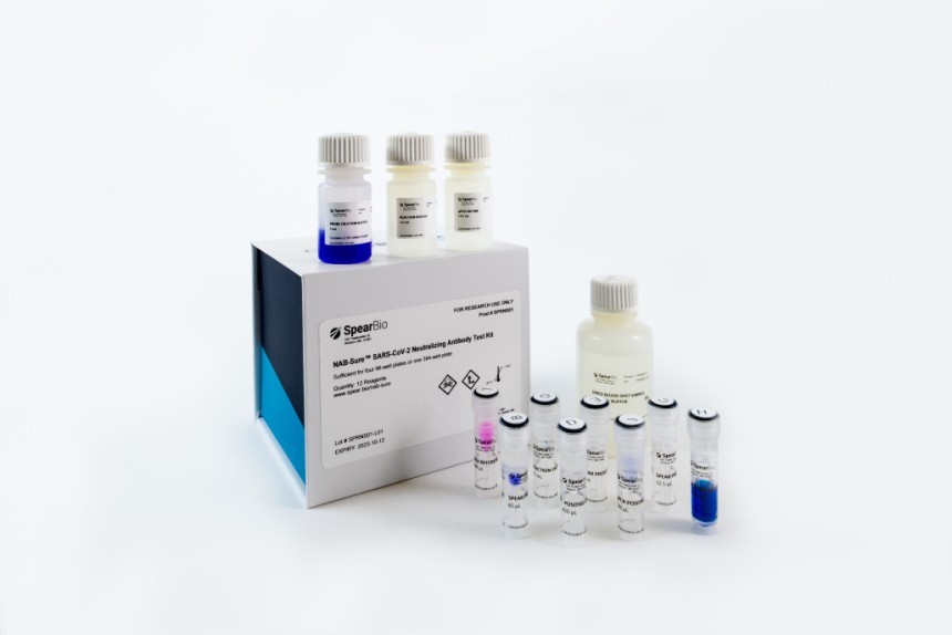 From Infection to Immunity The Role of SARS-CoV-2 Immune Response Test Kits