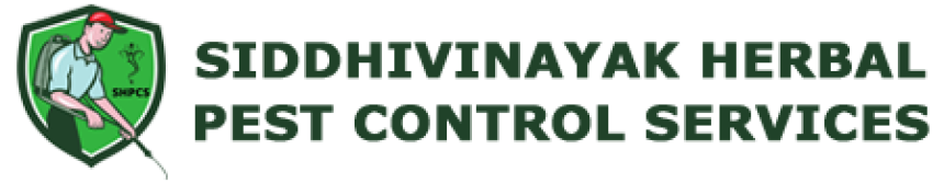 Effective Pest Control in Mira Road with Siddhivinayak Pest Control